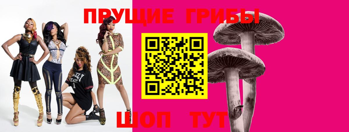 Донской  Галлюциногенные грибы MAGIC MUSHROOMS  Вход с VPN  Галлюциногенные грибы мухоморы 